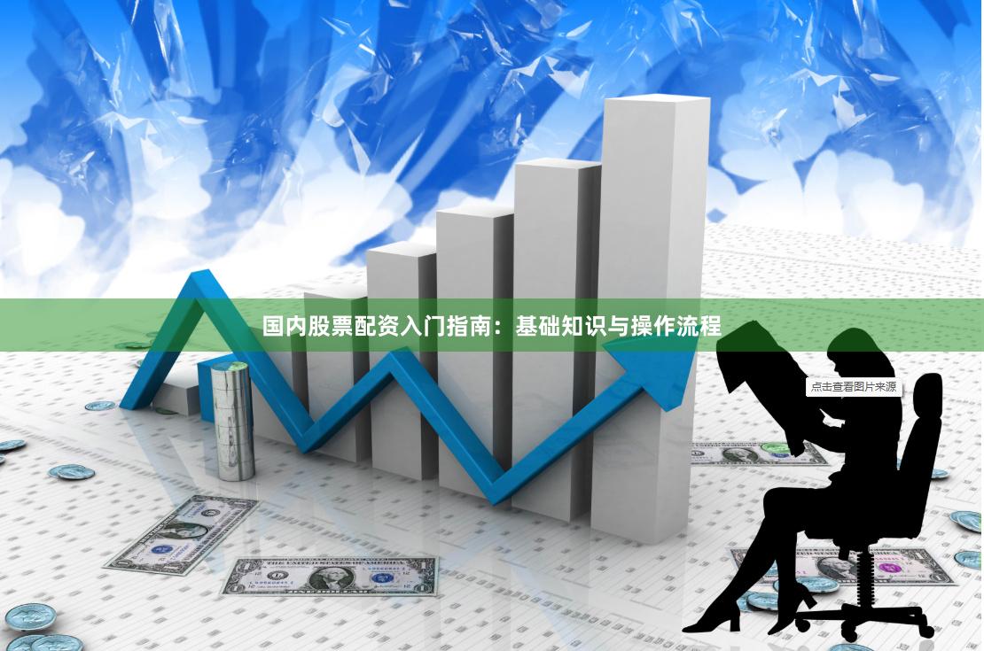 国内股票配资入门指南:基础知识与操作流程