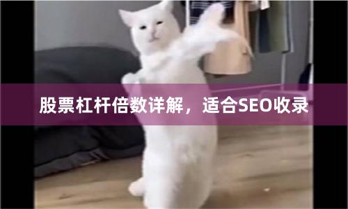 股票杠杆倍数详解，适合SEO收录