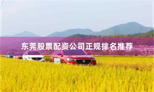 东莞股票配资公司正规排名推荐